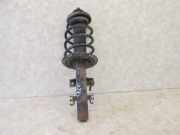 Federbein vorn rechts / links VW TRANSPORTER V BUS (7HB, 7HJ, 7EB, 7EJ, 7 75 KW