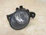 Nebelscheinwerfer rechts RENAULT CLIO III (BR0/1, CR0/1) 1.5 DCI 50 KW 8200002470
