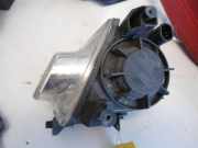 Nebelscheinwerfer links oval OPEL SIGNUM 2.2 DIRECT 114 KW 13123958