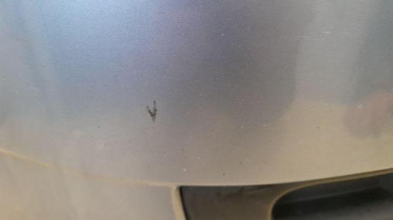 Stoßfänger vorne SKODA FABIA II (542) 1.2 44 KW Bild Stoßfänger vorne SKODA FABIA II (542) 1.2 44 KW