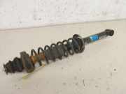 Federbein hinten VW POLO (6N1) 55 1.3 40 KW
