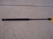 Gasdruckfeder Heckklappe CITROEN C2 (JM_) 1.1 44 KW