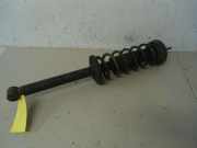 Federbein hinten VW GOLF III (1H1) 1.8 55 KW