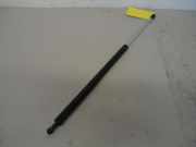 Gasdruckfeder Heckklappe RENAULT LAGUNA I (B56_, 556_) 1.6 16V 79 KW 7700842152