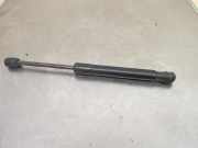 Gasdruckfeder Heckklappe AUDI A4 (8E2, B6) 1.9 TDI 85 KW