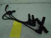 Zündkabel SEAT CORDOBA VARIO (6K5) 1.4 16V 55 KW