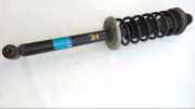 Federbein Hinten Links VW Golf Bj 2004 105740