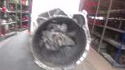5-Gang Schaltgetriebe BMW 3er 2200022597