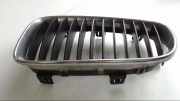 Ziergitter Kühlergrill Links BMW 1er Bj 2008