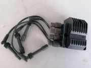 Zündspule mit Zündkabeln/ Ignition coil with ignition cables VW Polo Bj 2001 1103872