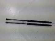 Gasdruckdämpfer VW Passat