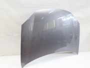 Motorhaube VW GOLF 5 V grau 05-2005