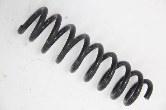 Feder hinten links BMW 1er E87 33536772440 C0 1,6 85 KW 115 PS Benzin 12/2006 Bild Feder hinten links BMW 1er E87 33536772440 C0 1,6 85 KW 115 PS Benzin 12/2006