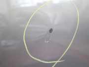 Tür hinten links Opel ANTARA 95158640 Braun 06-2009