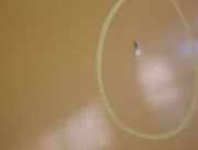 Schiebet?r Ford TRANSIT CONNECT rechts Gelb 08-2013