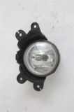 Nebelscheinwerfer rechts SsangYong KYRON 1081004 04/2006