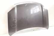 Motorhaube für Nissan X-TRAIL 2 T31 grau 08-2007