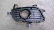 Luftgitter Gitter Nebelscheinwerfer Rechts A1698850622 A 160 CDI Classic DPF 169