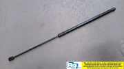 Gasdruckfeder Motorhaube Rechts A2129800564 C 200 (blueefficiency) 204 Bj 2012