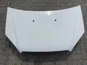 Motorhaube Doblo Cargo JTD 223.113.2 7DC2A3 Autm. 223 /223 L Bj 2008