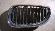 Kühlergrill Seitlich Vorne Links 51137027061 530d Turbo GTI E60/E61 Bj 2004
