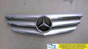Kühlergrill Vornegrill Grill A1698800883 B 200 CDI DPF (C) 245 Bj 2007