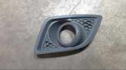 Luftgitter Gitter Stoßstange Vorne Links 6S61-19953-BCW Fiesta 1.6 Tdci Limited Sport Edition JH1/JD3 Bj 2008