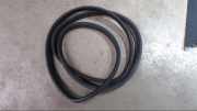 Türdichtung Dichtung Türe Hinten ML 270 CDI Privilege 163 Bj 2003