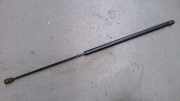 Gasdruckfeder Links 1C0823359B New Beetle 1.9 TDI Ambiente 9 C/1 Y Bj 1999