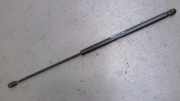 Gasdruckfeder Links 60688574 159 2.4 Jtdm 20V DPF 939 Bj 2006