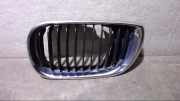 Kühlergrill Nieren Links 51.13-7056313 520i E39 Bj 1997