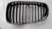 Kühlergrill seitlich Links 51137179655 116i GLS E81,E82,E8 Bj 2009