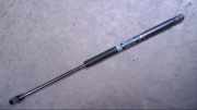 Gasdruckfeder Gasdruckdämpfer Links 2029800364 C 200 T CDI Edition 202 Bj 1999
