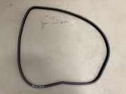 Dichtung (tür hinten) Links 7119966 325d DPF Touring Laureate E90 / E91/ Bj 2009