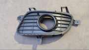 Luftgitter Gitter Nebelscheinwerfer Links A1698850522 A 180 CDI Comfortline 169 Bj 2005