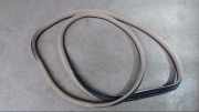 Türdichtung Hinten Links A1646900398 ML 320 CDI 4Matic 7G-TRONIC Catch me 164 Bj 2007