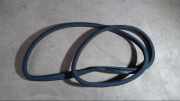Türdichtung Dichtung TÜR Vorne Rechts A21169701 E 280 CDI 7G-TRONIC 211 Bj 2005