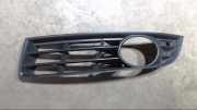 Luftgitter Gitter Nebelscheinwerfer Links 3C0853665A Passat Variant 2.0 TDI DSG Catch me now 3C/3CC Bj 2008