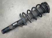Federbein mit Stossdämpfer Links 1T0413031DN Golf 1.9 TDI DSG Trend 1K/1KP/5M/1KM Bj 2004