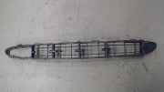 Luftgitter 1688851323 A 170 CDI L 168 Bj 2004