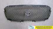 Schutzgitter Kühlergrill Picanto 1.1 (C) BA Bj 2006