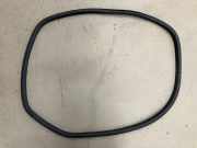 Dichtung (tür hinten) Rechts 6R6867912B Polo 1.4 DSG 6R Bj 2012