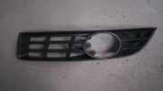Luftgitter Gitter Nebelscheinwerfer Links Passat Variant 2.0 TDI 3C/3CC Bj 2006