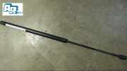 Gasdruckfeder L Golf 1.6 Movie 1 J Bj 1999