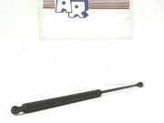 Gasdruckfeder/-dämpfer R 82491417 Palio Weekend 75 178 Bj 1998