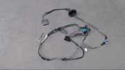 Türkabelbaum Kabelbaum Kabel Türe Links A 180 CDI Trend 169 Bj 2005