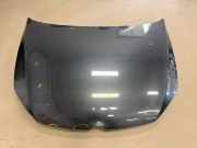 Motorhaube Golf 2.0 TDI Bluemotion Technology DSG Comfortline Au/auv Bj 2016