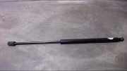 Gasdruckfeder Dämpfer Links 817701C001 Atos 1.0i RN MX Bj 1998
