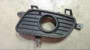 Luftgitter Gitter Nebelscheinwerfer Links A1698850522 A 180 CDI RXi 169 Bj 2004