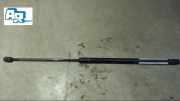 Gasdruckfeder/-dämpfer L 214 Si Palm Beach RF Bj 1999